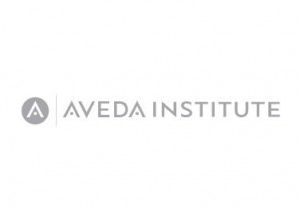 1. The Aveda Institute