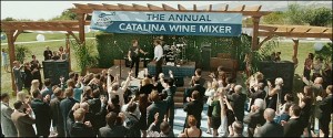 5. Catalina Wine Mixer Themed party