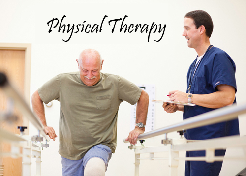 online physical therapy assistant programs